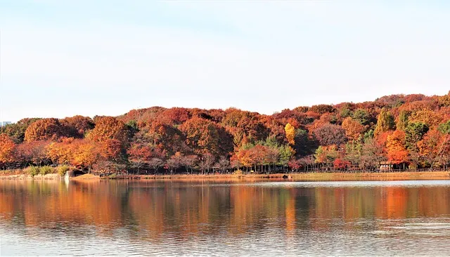성남 가볼만한곳 베스트10 현지인 추천 필수코스_1