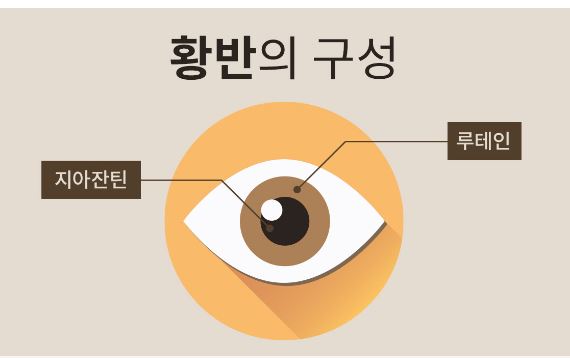 루테인-지아잔틴