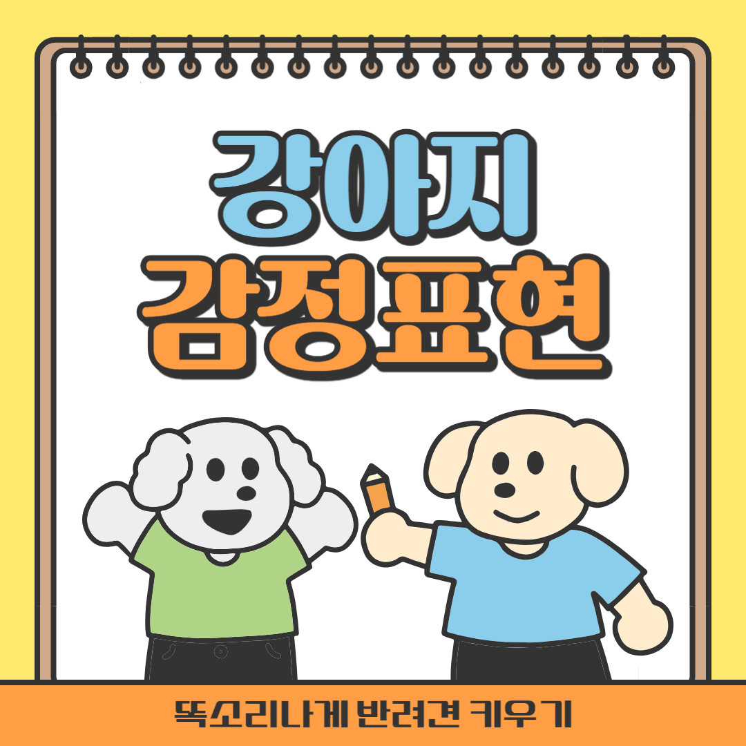 강아지의 감정표현 울음소리의 의미 입으로 표현하는 감정