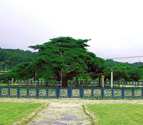 2025 금당야행] 예천 금당실마을에서 밤을 걷다! 체험&middot;먹거리&middot;축제 총정리