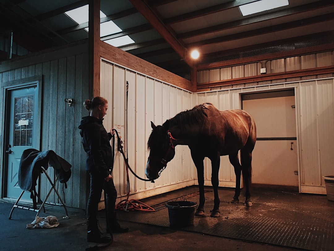 Stable