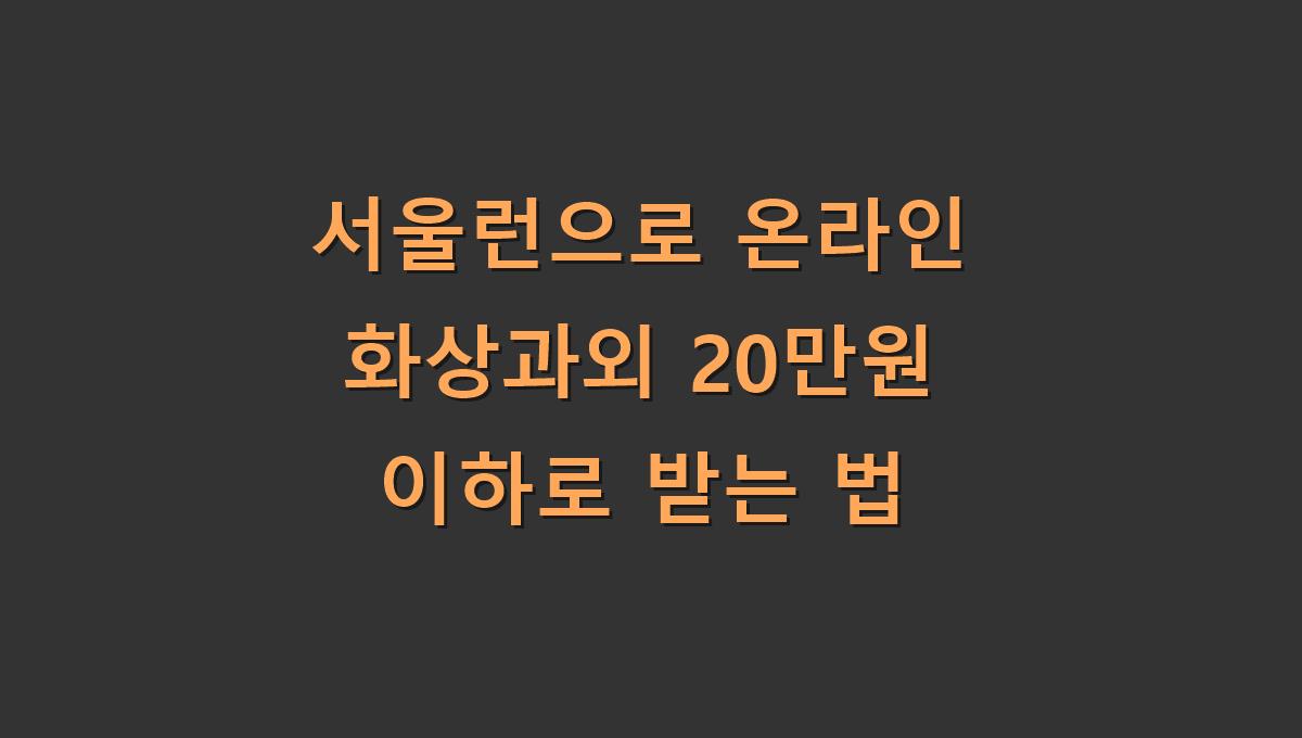 서울런으로 온라인 화상과외 20만원 이하로 받는 법​