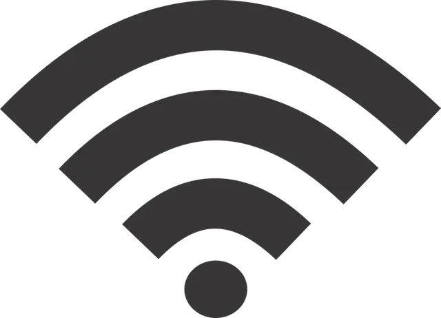 뇌의 자기조직화: 뇌 네트워크의 자가 조직화 과정