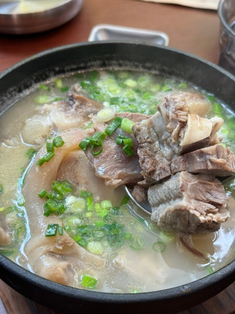 강남 신사동 인생맛집, 추천 모임장소