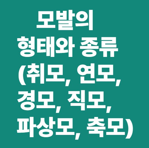 모발의 종류와 형태