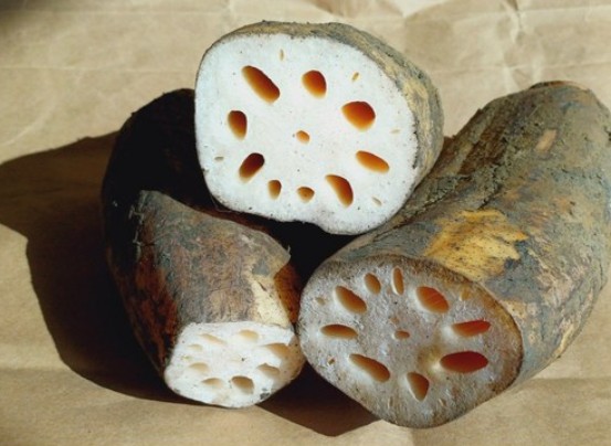 6시내고향 증평 연근을 반으로 자른 모습