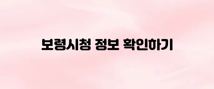 보령시청 홈페이지 바로가기 (www.brcn.go.kr)