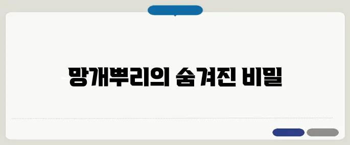 망개뿌리 효능 위장 건강 챙기는 전통 약재