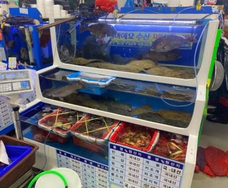 [6시 내고향] 군산수산물종합센터 꽃게&amp;#44; 갑오징어&amp;#44; 반건조박대&amp;#44; 참홍어&amp;#44; 돌돔&amp;#44; 비빔낙지&amp;#44; 2층 식당 정보
