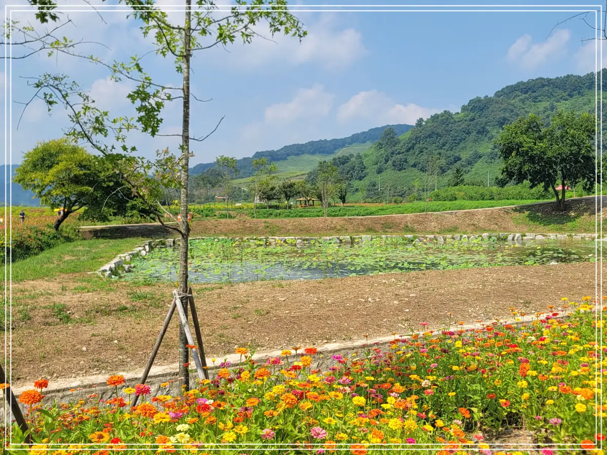 연천-댑싸리공원-연꽃정원