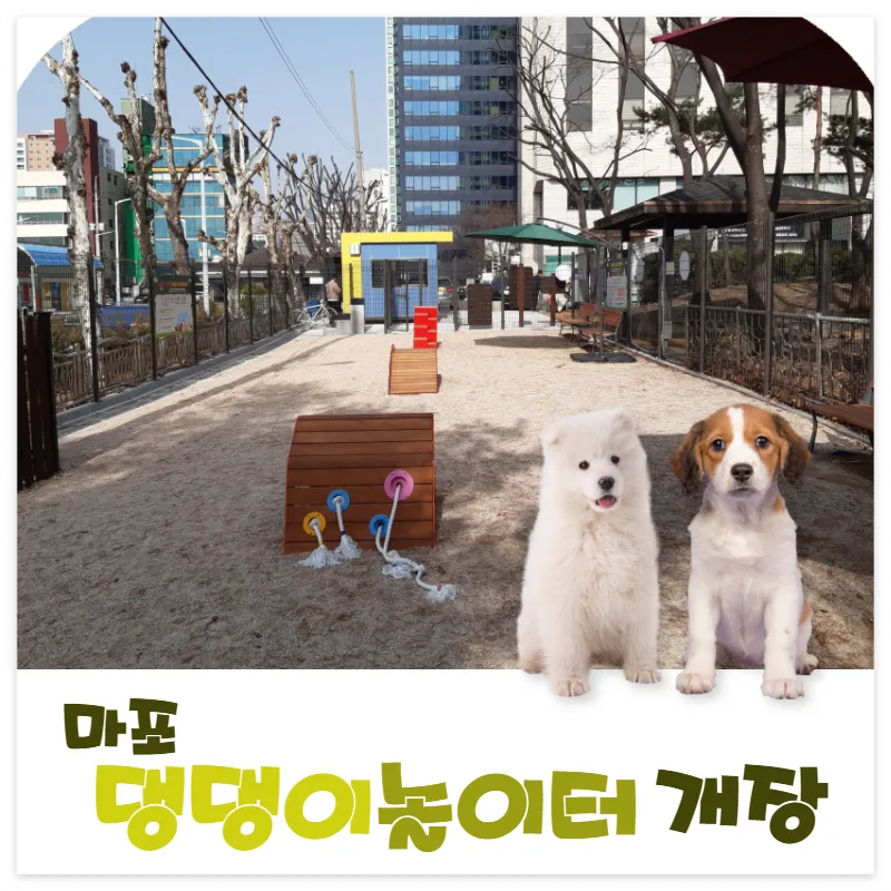 마포 댕댕이놀이터