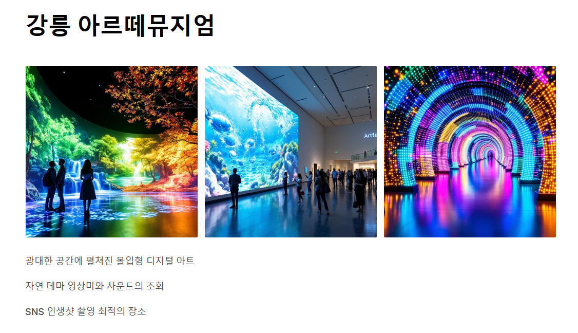 강원도 실내 데이트코스 추천 BEST 7