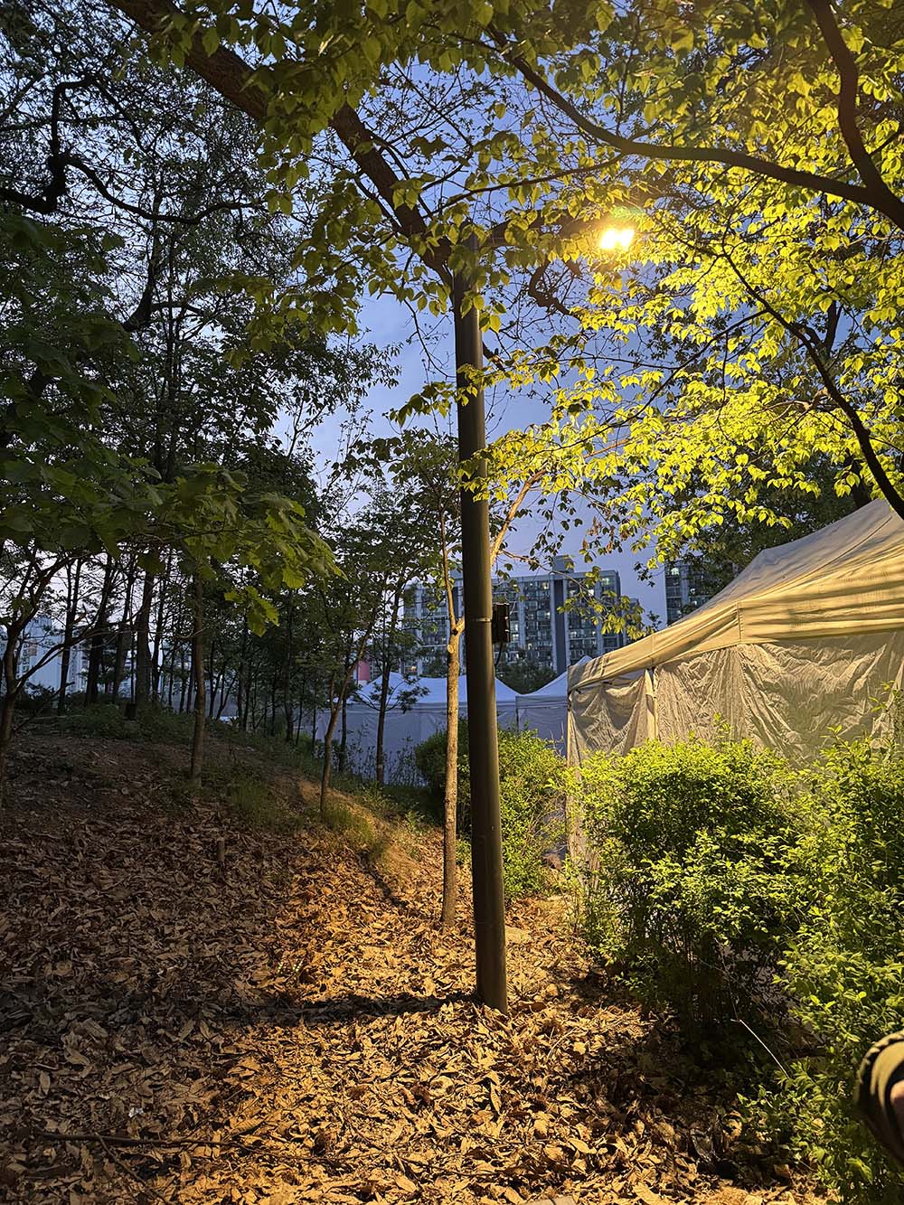 중계동 핫플레이스! 불암산 철쭉동산 주말 나들이 솔직 후기