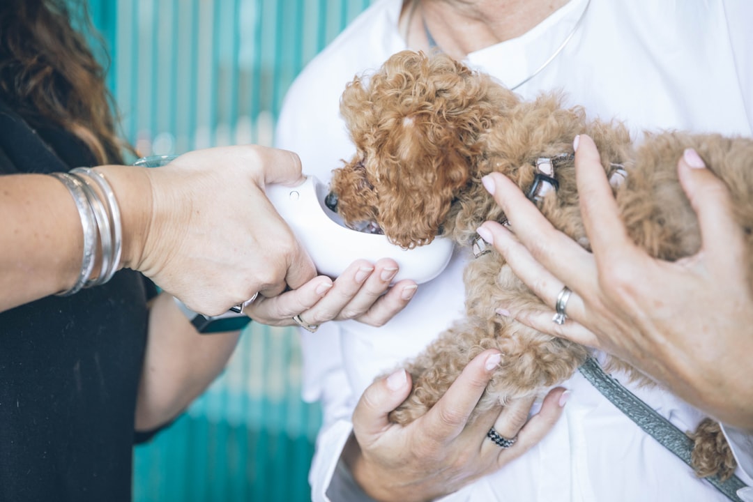 Veterinary