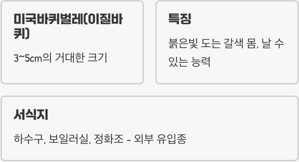 이 거대한 벌레, 정체는?