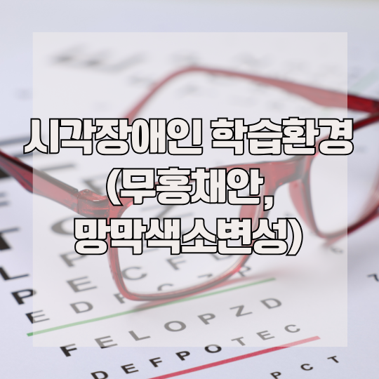 시각장애인 학습환경 (무홍채안, 망막색소변성)