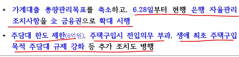 대출규제