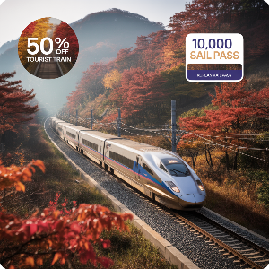 코레일 가을여행 관광열차 50%할인 + 내일로패스 1만원 할인 이미지