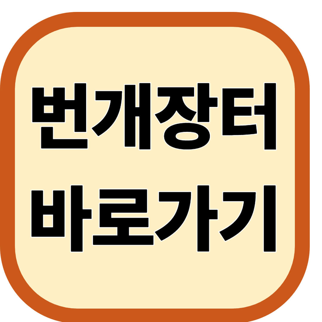 번개장터 바로가기