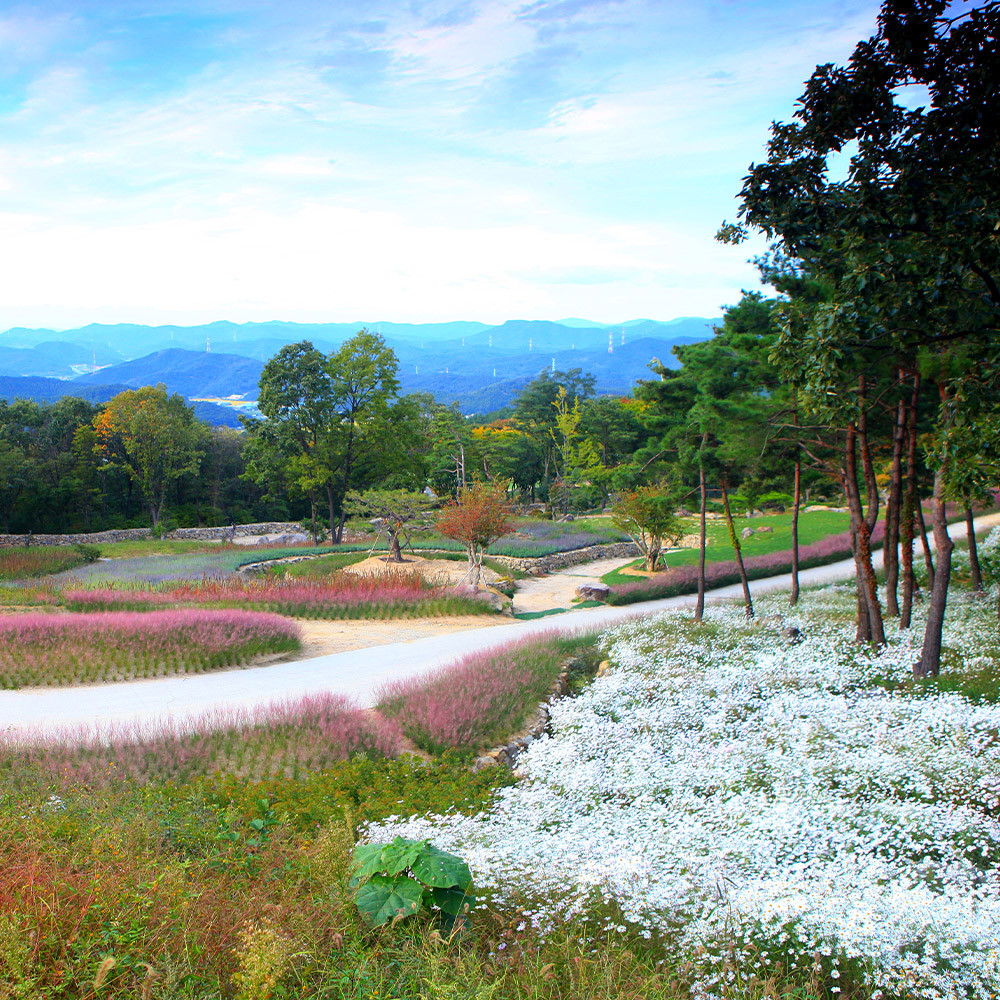 칠곡 가산수피아