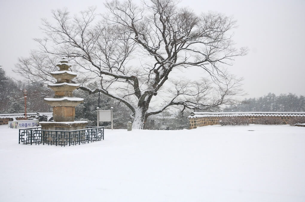 세종시 비암사 : 천년의 침묵을 깨고 드러난 백제 유민의 간절한 염원과 보물 백제 불교의 흔적이 남아 있는 유서 깊은 고찰