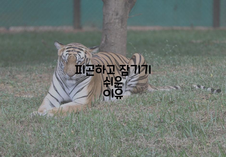 피곤하고 잠기기 쉬운 이유