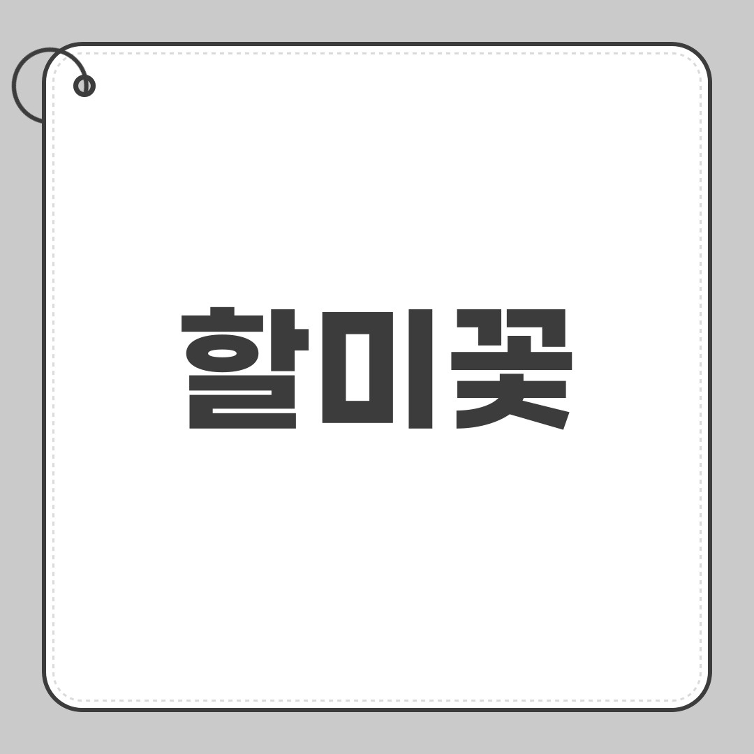 할미꽃