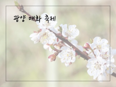 매화