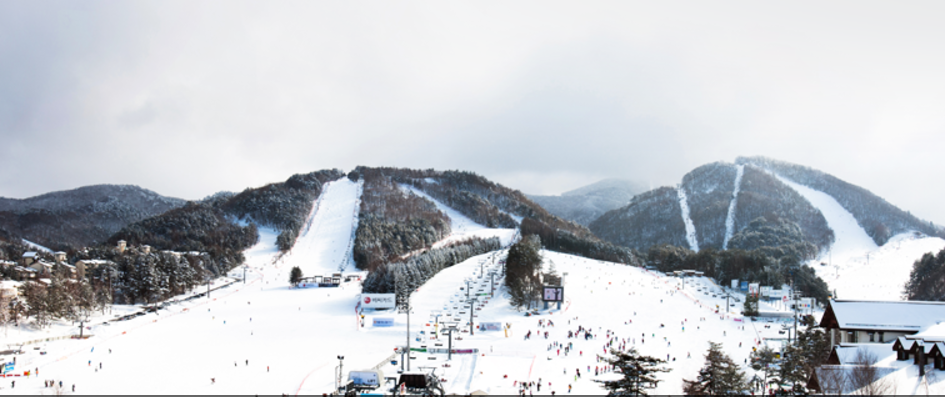 용평스키장