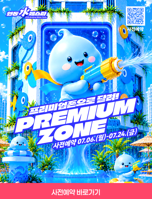 안동 수 페스타
