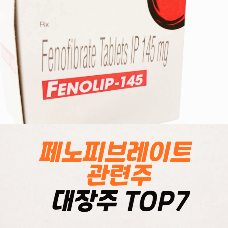 페노피브레이트 관련주 대장주 테마주 수혜주 TOP10