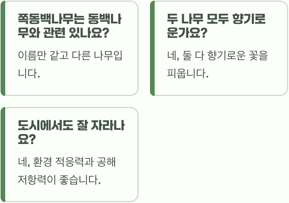때죽나무 vs 쪽동백나무, 향기와 모양 완벽 비교 분석