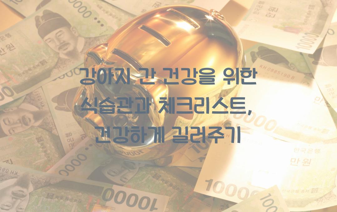 강아지 간 건강을 위한 식습관과 체크리스트