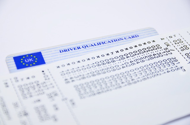 운전면허 적성검사 갱신 온라인