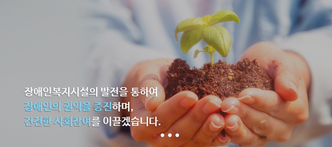 대마종자유_3.jpg