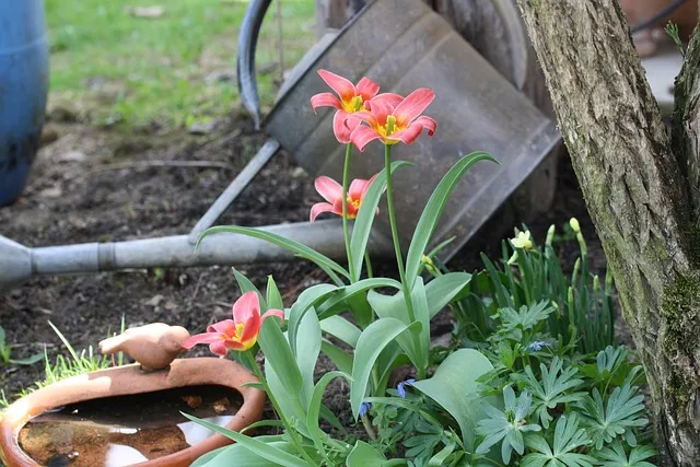 황망하다 뜻 마음 장례식 인사말 황망뜻 의미 정리 예문_1