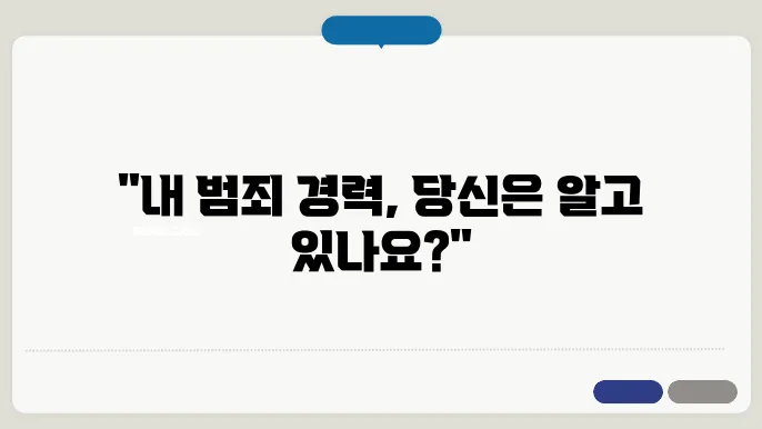 범죄 경력 조회 신청