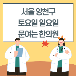서울 양천구 토요일 일요일 한의원 진료 병원 리스트