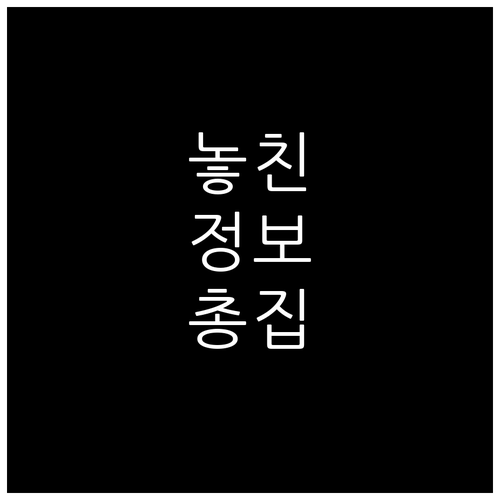 인천 중구 대형폐기물 무단 투기 과태..