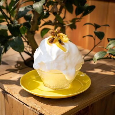 신오사카 카페 맛집 추천 3곳[일본 현지인 추천](오소라 카페&#44; 킷사 레몬노&#44; Drip-X-Cafe)