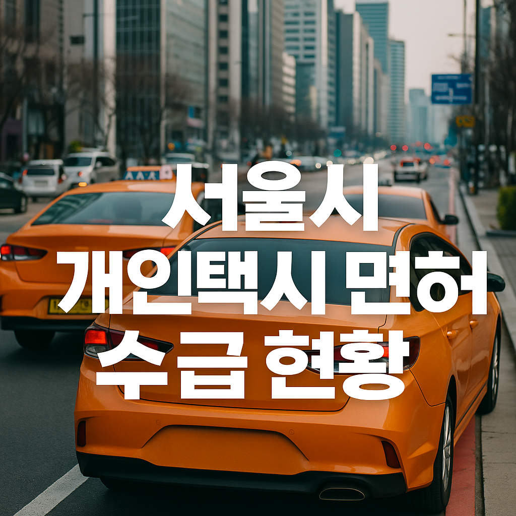 2025년 서울시 개인택시 면허 수급 현황 정리