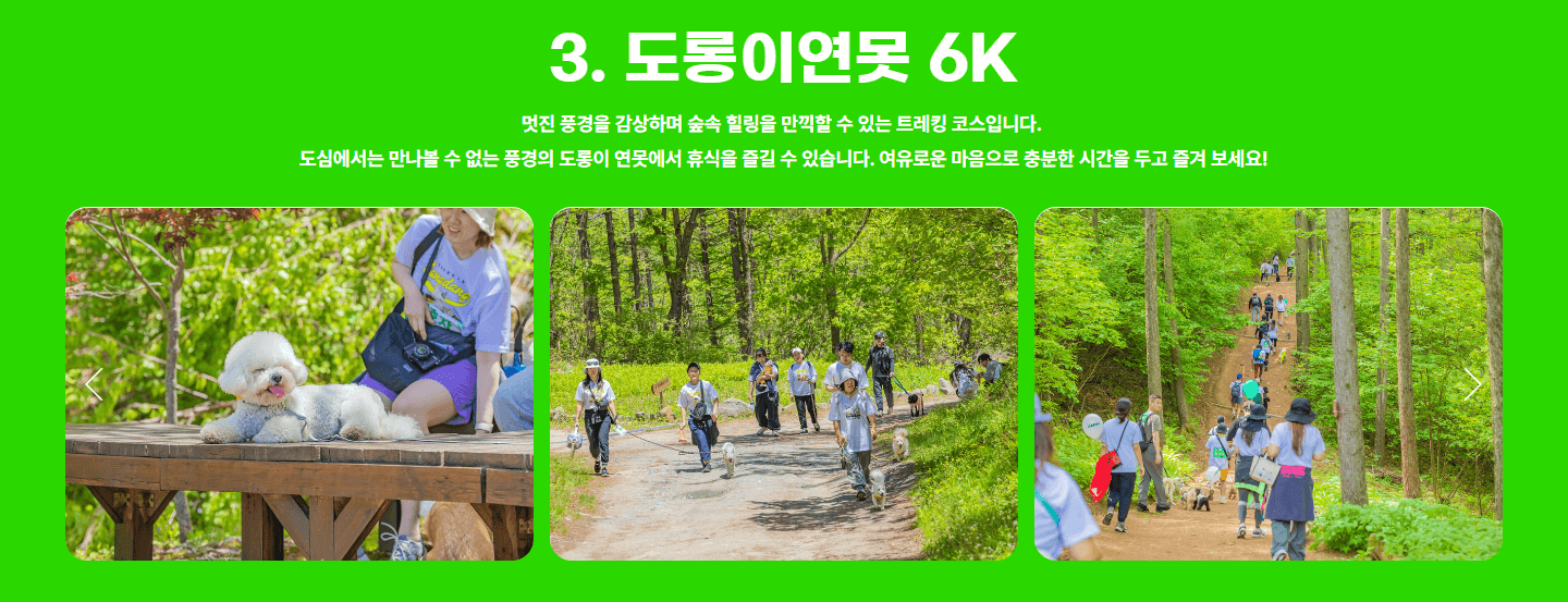 2025 댕댕 트레킹 예매 방법, 신청조건, 신청기간, 코스 안내, 장소 안내