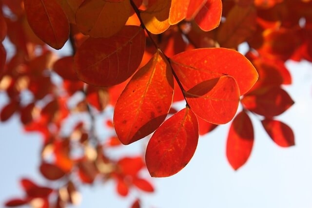 용문산 등산코스&amp;#44; 용문산 단풍 등산&amp;#44; 용문산 가벼운 코스&amp;#44; 용문산 하이킹&amp;#44; 용문산 정상 등산&amp;#44; 용문산 산행&amp;#44; 경기 단풍 등산&amp;#44; 가을 등산 명소&amp;#44; 용문산 종주코스&amp;#44; 서울 근교 단풍 산행