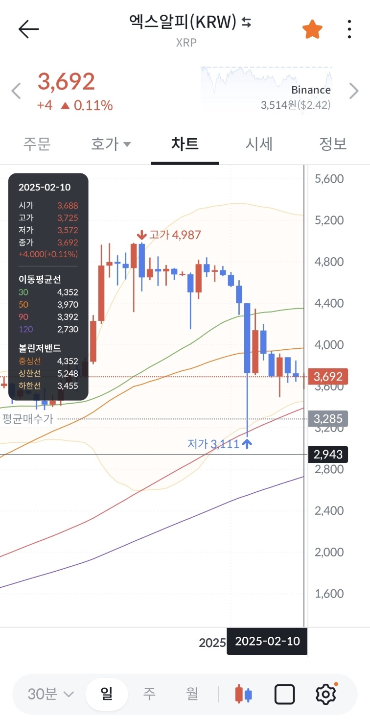 엑스알피시세 (리플시세)