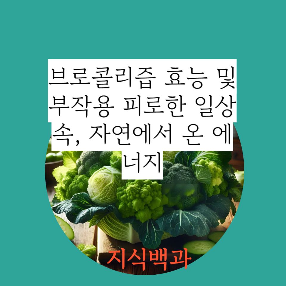 브로콜리즙 효능 및 부작용 피로한 일상 속, 자연에서 온 에너지