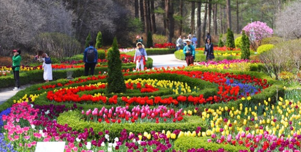 서울 근교 나들이 여행 경기도 4월 봄꽃축제 가볼만한곳 TOP 05 일정 장소 특징 정리