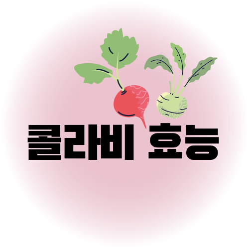 콜라비