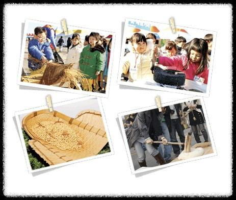 11월 행사 축제 지역행사 지역축제