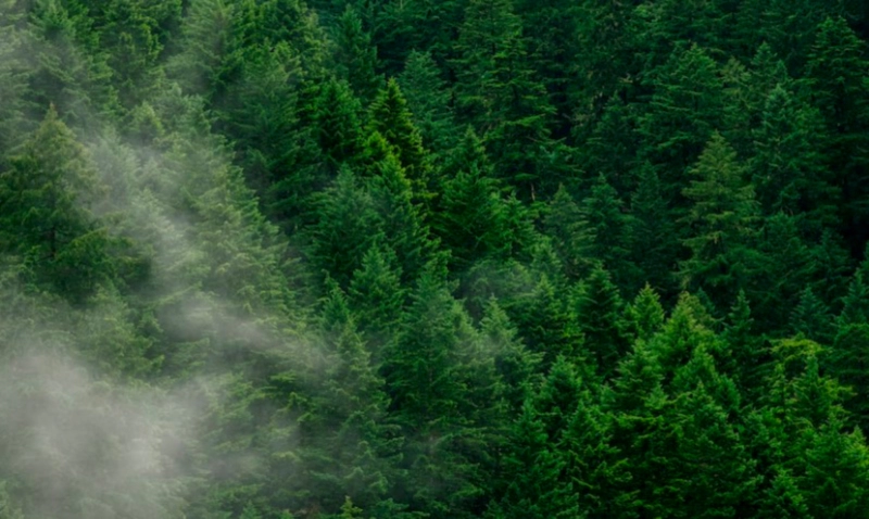 실내공기질 관리법 일부개정법률안 조정 사항 국회 회의