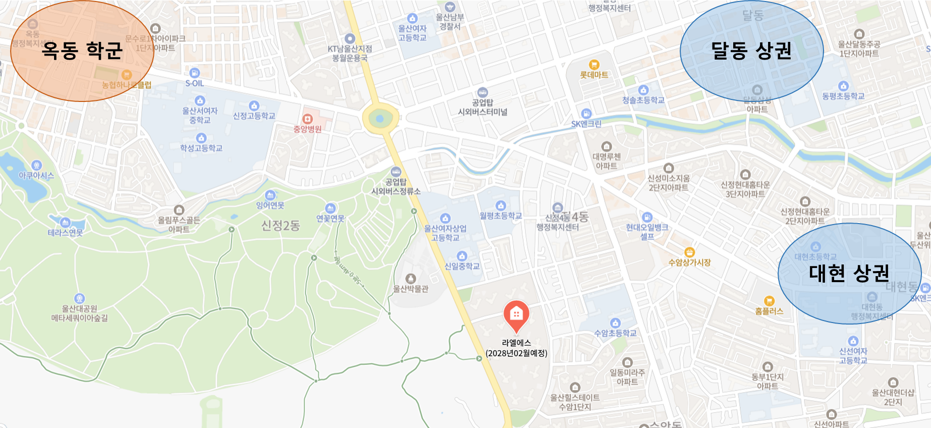 울산 남구 신정동 라엘에스 주변 상권, 학권 인프라 지도 표시 이미지